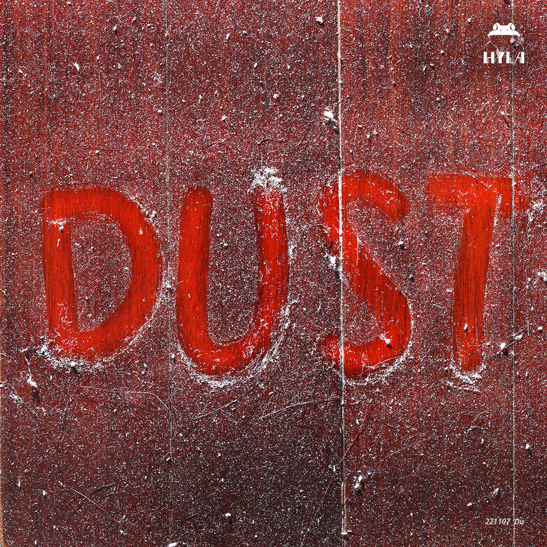 Don’t let Dust Hide! The importance of Dusting and Tips to Remove it