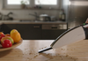 Rapida Handheld Vacuum
