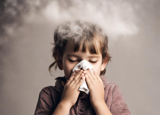  Dust and Allergens in Your Home Can Run Rampant!